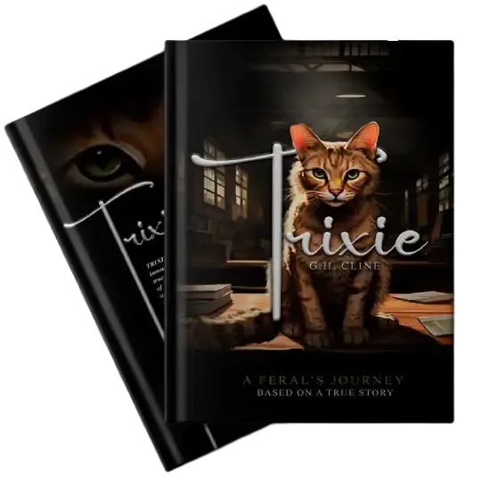Trixie - A Feral's Journey